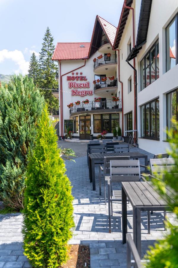 Piscul Negru Hotel - Transfagarasan Cumpana  Luaran gambar